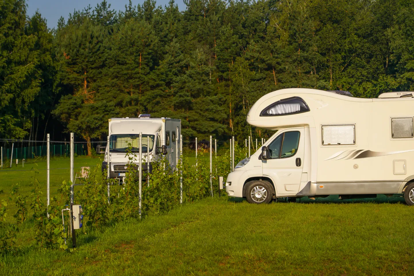 Campsite pitches in Kuraszewo.
