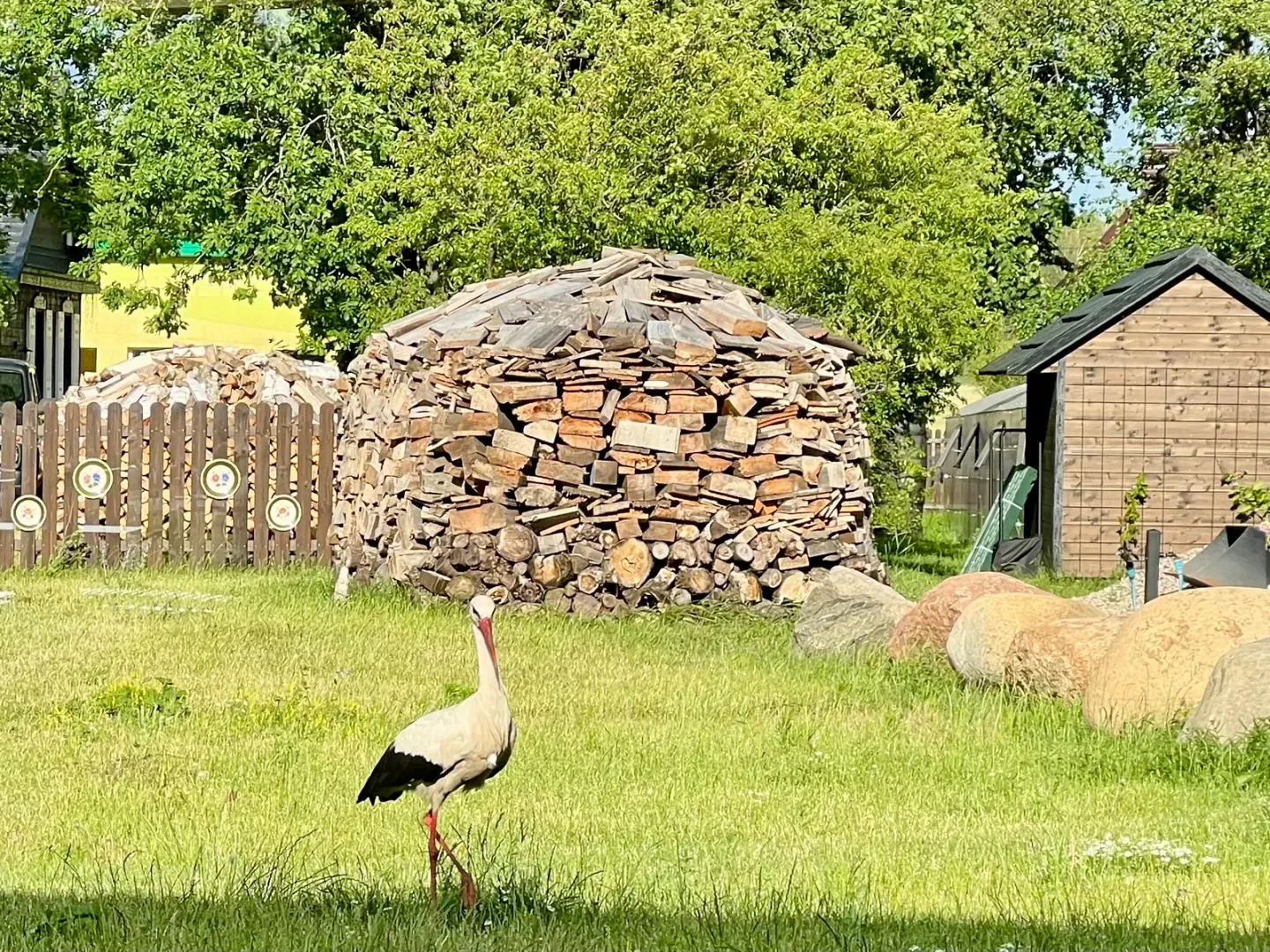 Contact Kuraszewo.